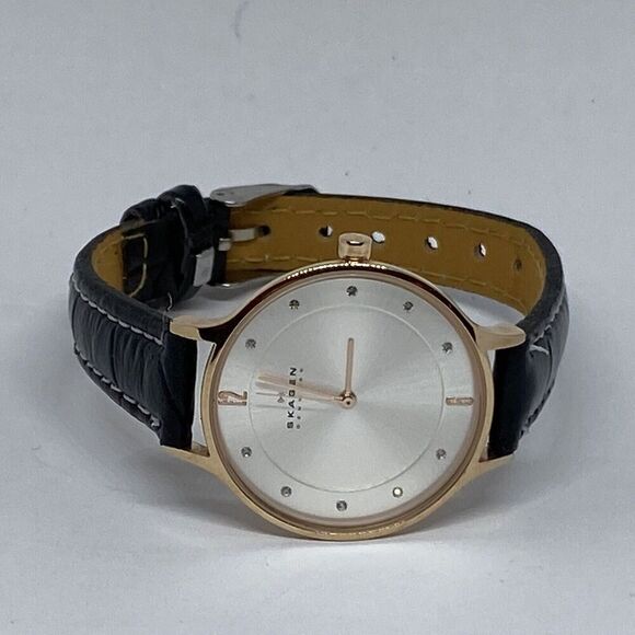 Skagen Anita SKW2151 Women\'s Black Leather Analog Dial Quartz Wrist Watch JK591 main image 11